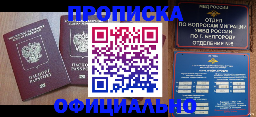 найти адрес прописки в Чудово